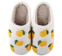 Cherry Slippers for Women Men Fruit Shoes Cute Memory Foam Soft Winter Warm Indoor Outdoor Slippers, 2-lemon, 9-9.5 Women/7.5-8 Men