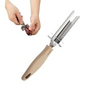 Cherry Stone Remover, Stainless Steel Pitter Tool, Multifunctional Fruit Coring Aid, Kitchen Aid for Potatoes, Cherries, Red Dates, Tomatoes, Grapes, Rosehips and Cherries
