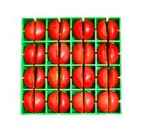 Cherry Tomato Slicer, Tomato Quarter Slicer, Fruit Cutter | Grape Quarter Slicer Grade Dishwasher Snack Slicer Size 16 Pieces