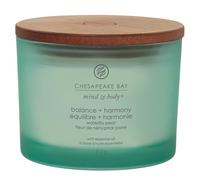 Chesapeake Bay Candle Ideal for Unisex Adult