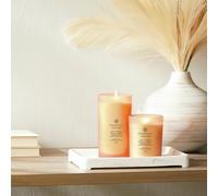 Chesapeake Bay Large Jar Candle - Grapefruit Mango