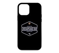 Chesapeake Bay Maryland - Chesapeake Bay MD Case for iPhone 12 mini