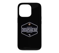 Chesapeake Bay Maryland - Chesapeake Bay MD Case for iPhone 13 Pro