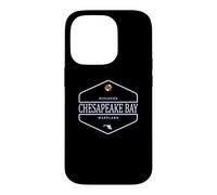 Chesapeake Bay Maryland - Chesapeake Bay MD Case for iPhone 14 Pro