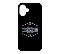 Chesapeake Bay Maryland - Chesapeake Bay MD Case for iPhone 16
