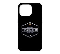 Chesapeake Bay Maryland - Chesapeake Bay MD Case for iPhone 16 Pro
