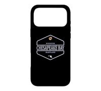 Chesapeake Bay Maryland - Chesapeake Bay MD Case for iPhone 17 Pro Max