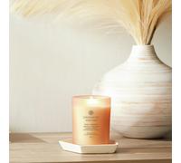 Chesapeake Bay Medium Candle - Grapefruit Mango