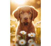 Chesapeake Bay Retriever Puppy face Notebook - Large 6 x 9 inches - 127 Pages