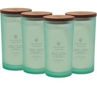 Chesapeake Bay Scented Candle, Balance & Harmony, Water Lily Pear, Large Tumbler, Aromatherapy, Pack of 4