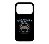 Chesapeake Beach Maryland Crab Town Cyan Letters Case for iPhone 17 Pro