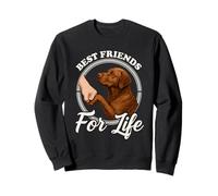 Chesapeake Lover Design Cute Chesapeake Bay Retriever Dog Sweatshirt