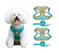 Chesoon 2PCS Dog Harness with Lead Soft Breathable Mesh Vest Reflective Strips Walking Gear High Visibility L 15.2-22lb / 6.99-9.98kg Blue