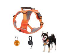 Chesoon Dog Harness Set Heavy Duty No Pull Vest with Leash LED Lamp Reflective Night Walk Outdoor Small 11-16.5lb / 5-7.5kg Black S