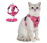 Chesoon Puppy Kitten Harness Leash Kit Escape Proof Ventilated Mesh Reflective Accent Night Walk Outdoor Activity XL Rose 16.5-22lb / 7.48-9.98kg