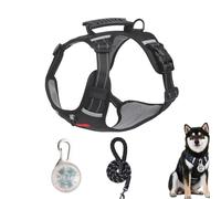 Chesoon Tactical Dog Harness Set Heavy Duty No Pull Vest with Leash LED Lamp Reflective for Dogs Training 11-16.5lb / 5-7.5kg Orange S