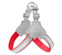 Chest Harness for Dogs, No Pull Pet Harness | No Pull Dog Harness Reflective Vest - Adjustable Anti Fire Pet Wear, Puppy Walking Accessories for Family