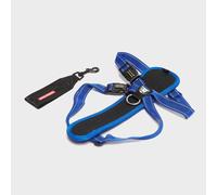 Chest Plate Dog Harness (XL), Blue One Size