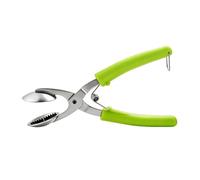 Chestnut Cutter Tool | Nutcracker Made of Stainless Steel - Chestnut Scorer, for Cracking Nuts and Chestnuts in the Kitchen when Baking and Preparing Dessert