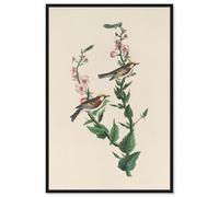 Chestnut Streak Canvas Print Botanical Art by Art Remedy, Black Frame, 16 x 24