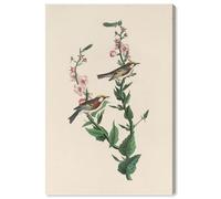 Chestnut Streak Canvas Print Botanical Art by Art Remedy, Gallery Wrapped, 10 x 15