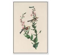 Chestnut Streak Canvas Print Botanical Art by Art Remedy, White Frame, 10 x 15