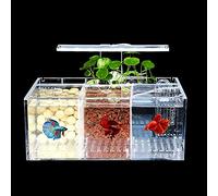 Chestnut-YX Betta Fish Tank Aquarium Acrylic Material Mini Desktop Small Fish Tank Bowls Kit with Water Pump and LED Lights Self Circulation Ecological Tank Sick Fish Isolation Room (3 Grids)