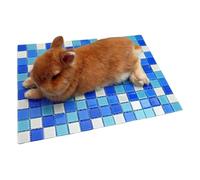 Chew-Proof Design Stone Pad for Small Pet, Blue S | Chew Resistant Stone Construction for Pet Rodents Gerbils Easy Cleaning Maintenance Quick-Clean