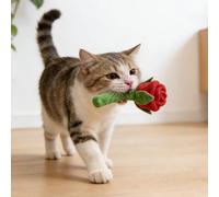 Chew Toy for Aggressive Chewer Rose Valentine Day Squeaky Crinkle Puzzle Interactive Stuffed Chew For Small And Mediums Large (Rope Red) (A, 8x8x10cm)