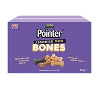 Pointer Assorted Mini Bones
