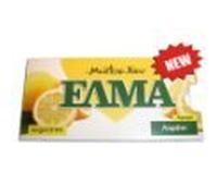 Chewing Gum Mastic and Lemon Sugarfree 13g -Elma