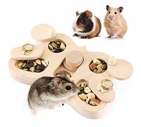 Chewtoyo Interactive Treat Sniffing Game Toy 4 in 1 for Sugar Gilds Guinea Pigs, Rabbit, Rat, Mental Stimulation Wood Hamster