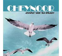 Cheynoor - Assise Sur La Plage