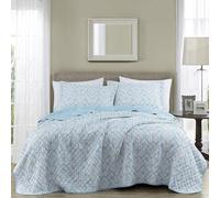 Chezmoi Collection Ivy Floral Medallion Quilt Set Twin Size, 2-Piece Blue/White Floral Printed Pre-Washed Reversible Microfiber Bedspread Set