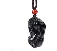 CHGAUOPN Pixiu Jade Necklace, Fei Cui Jade Pi Yao Charm Pendant Necklace Black Jadeit Chakra Gemstones Money Attraction