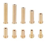CHGCRAFT 10Pcs 7 Sizes Brass Tip Plug Weights Fit Iron and Steel Shafts Golf Club Weight Head Accessories for 0.355 Inch Shaft, 1/2/3/4/6/8/10g