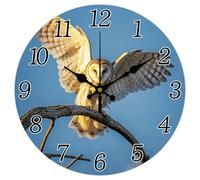 CHGCRAFT Barn Owl Wall Clock 12 Inch Sky Clock Round Decorative Clocks for Bedroom Living Room Kitchen Office