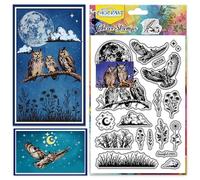 CHGCRAFT Night Owl Clear Stamps Moon and Star Transparent Stamps Bouquet Branches Silicone Clear Stamp Seals for Carding Making DIY Scrapbooking Photo Album Decoration, 4.3x6.3 inch