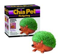Chia Joseph Enterprises, Inc Hedgehog Pet Decorative Planter