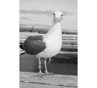 Chiarimenti su cose che non capisco: Concetti alla rinfusa scritti da un ignorante