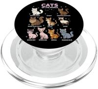 Chibi Cats Cute Animals World Educational Cat Lover PopSockets PopGrip for MagSafe