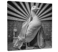 Chic Duck Wall Art, Black White Animal Canvas Print, Modern Home Decor for Living Room, Bedroom, Kitchen, Gift 12x12 Inch