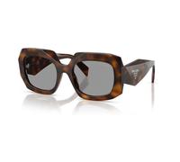 Chic Juniper Tortoise Sunglasses - female - Prada - Sunglasses - Brown - 54 MM - Accessories 54 MM