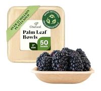 Chic Leaf Mini Disposable Palm Leaf Square Plates - 3in Square Natural Pack of 50-100% Compostable & Biodegradable Heavy-Duty Party Plates - Microwave Safe Picnic & BBQ Tableware