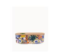 Chic.Mic Bioloco Plant Lunchbox Brotzeitbox Pausenbrot School Leisure Hiking