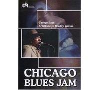 Chicago Blues Jam: George Baze/Tribute to Muddy Waters [DVD] [Region 1] [US Import] [NTSC]