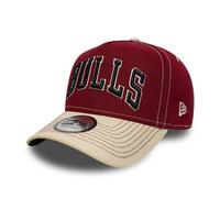 Chicago Bulls City Icon EFrame Mens New Era Cap