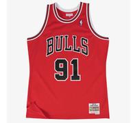Chicago Bulls Dennis Rodman NBA Basketball Jersey 1997-98 Swingman Road Mens