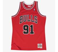 Chicago Bulls Dennis Rodman NBA Basketball Jersey 1997-98 Swingman Road Mens