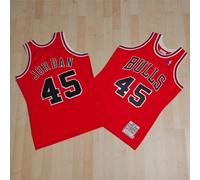 Chicago Bulls Michael Jordan 1994-95 Road 45 Authentic Jersey By Mitchell & Ness
